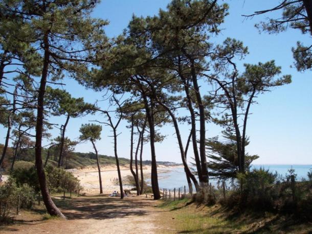 Villa L'Acacias Longeville-sur-Mer Kültér fotó